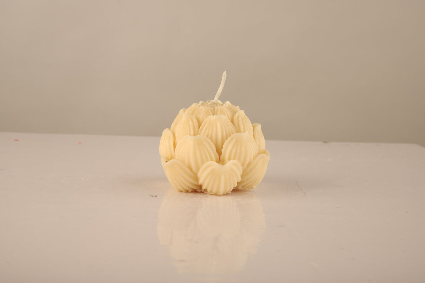 SACRED LILY - STRAWBERRY