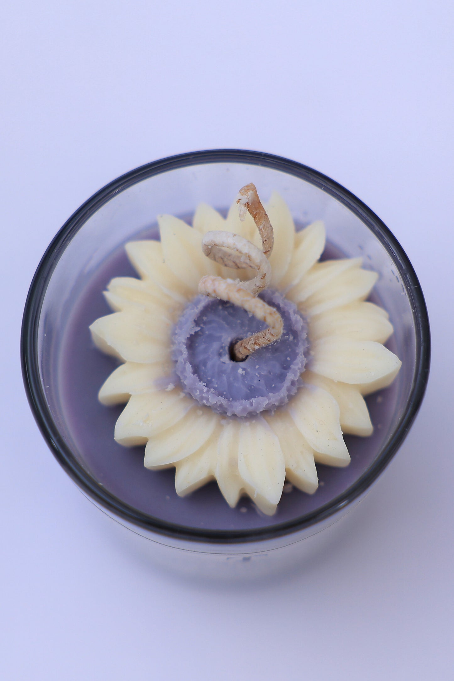 SUNFLOWER POP