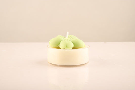SERENE HUE - FRENCH VANILLA