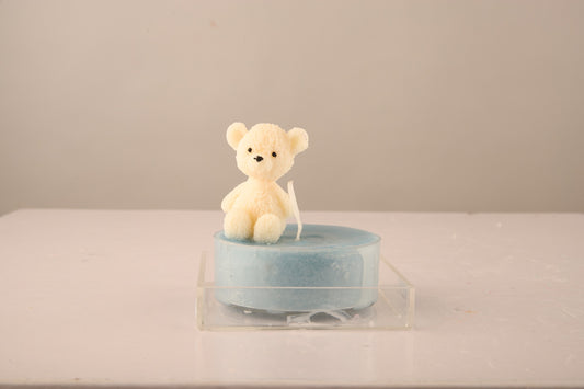 TEDDY ON CAKE - BLUEBERRY