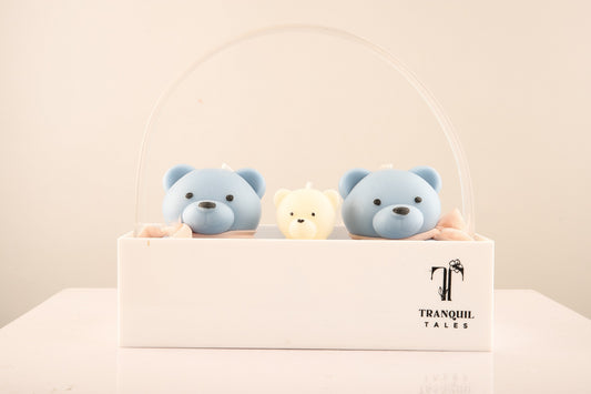 The Big Fat Teddy Family
